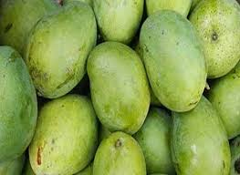 فروش انبه سبز